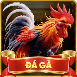 Hỗ trợ trò chuyện trực tuyến Helo888 APK